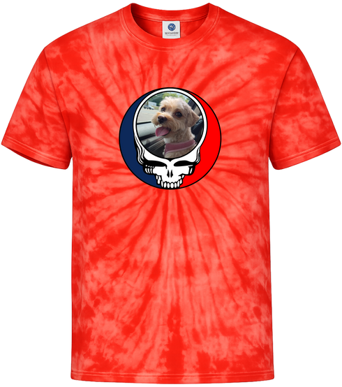 1644 - Custom Stealie Tie-Dye