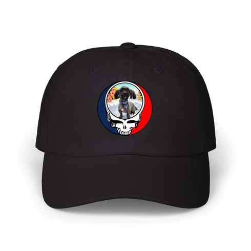 1632 - Custom Stealie Dad Hat