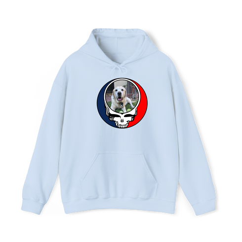 1443 - Custom Stealie Hoodie