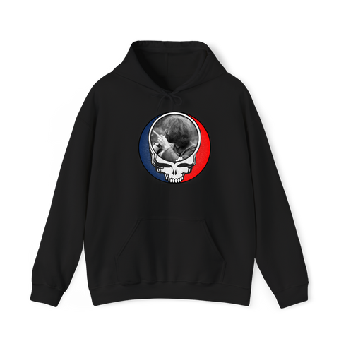 1565 - Custom Stealie Hoodie