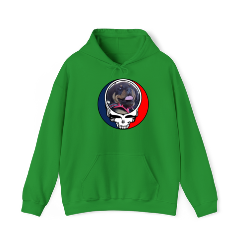 1639 - Custom Stealie Hoodie