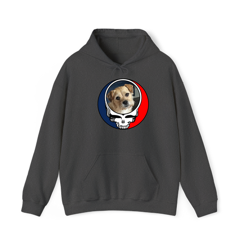 1650 - Custom Stealie Hoodie