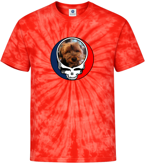 1625 - Custom Stealie Tie-Dye