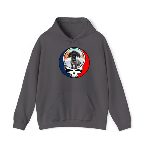 1632 - Custom Stealie Hoodie