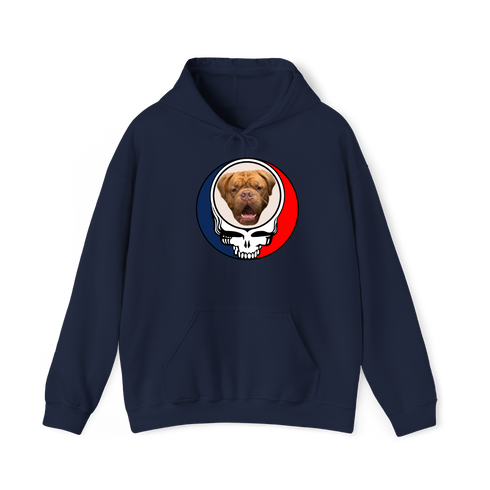1566 - Custom Stealie Hoodie