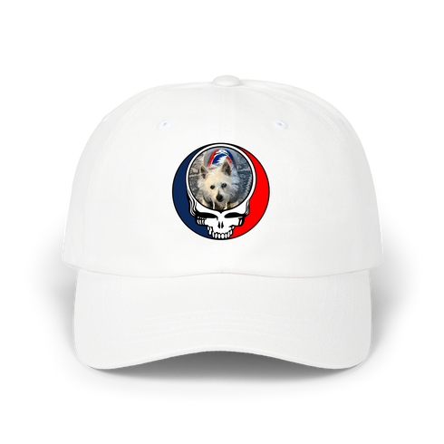 1716 - Custom Stealie Dad Hat