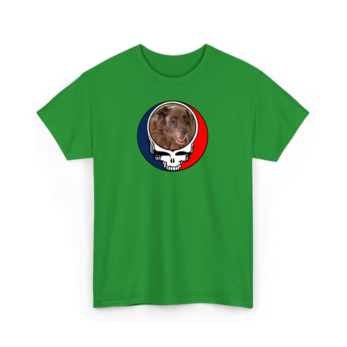 1728 - Custom Stealie T-Shirt