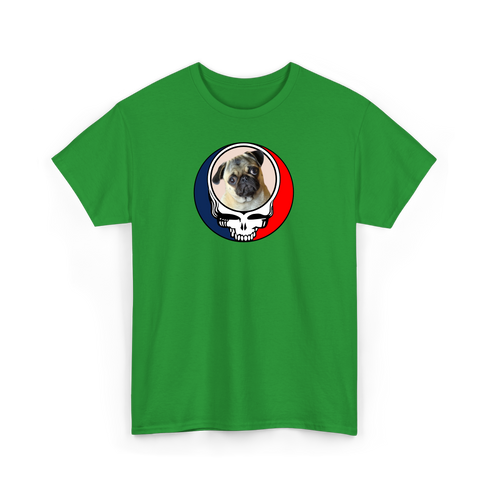 1497 - Custom Stealie T-Shirt