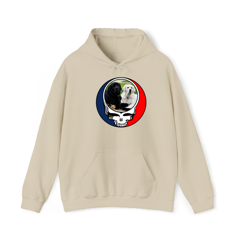1619 - Custom Stealie Hoodie