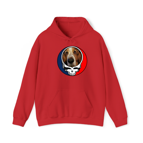 1686 - Custom Stealie Hoodie