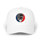 1720 - Custom Stealie Dad Hat