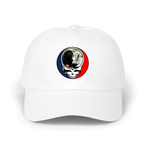 1619 - Custom Stealie Dad Hat