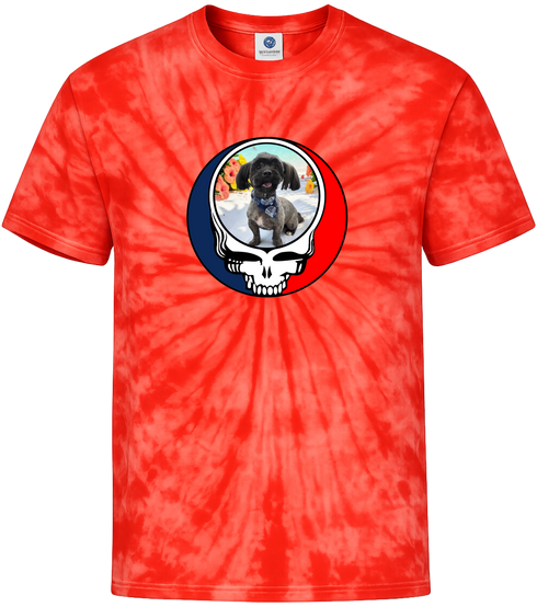 1632 - Custom Stealie Tie-Dye