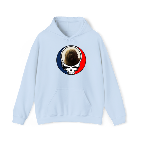 1461 - Custom Stealie Hoodie
