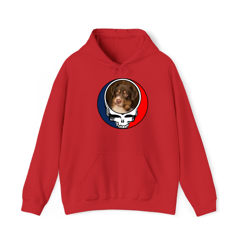1501 - Custom Stealie Hoodie