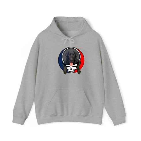 1620 - Custom Stealie Hoodie