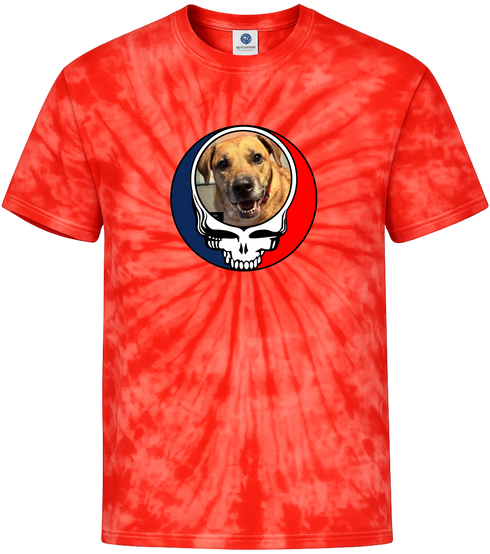 1672 - Custom Stealie Tie-Dye