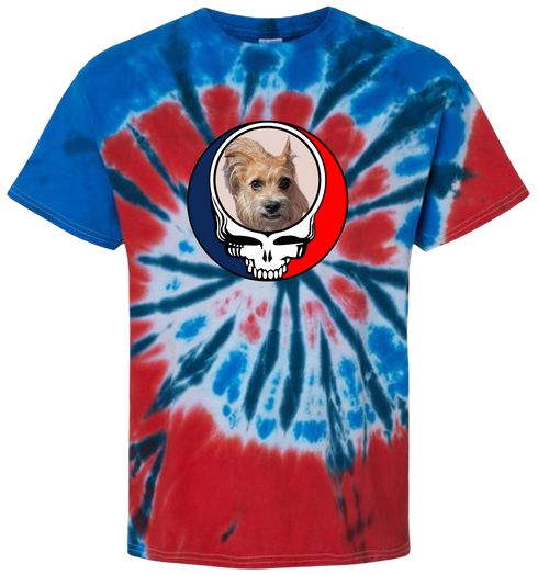 1487 - Custom Stealie Tie-Dye