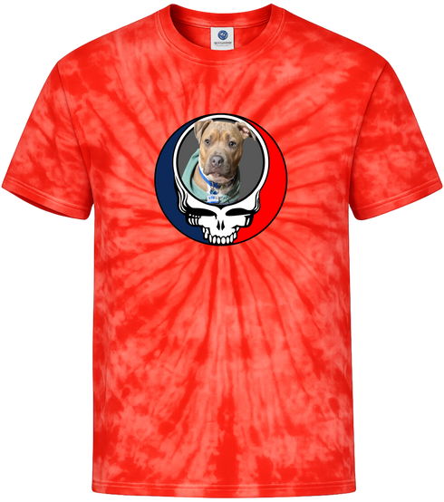 1662 - Custom Stealie Tie-Dye