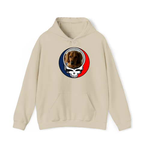 1729 - Custom Stealie Hoodie