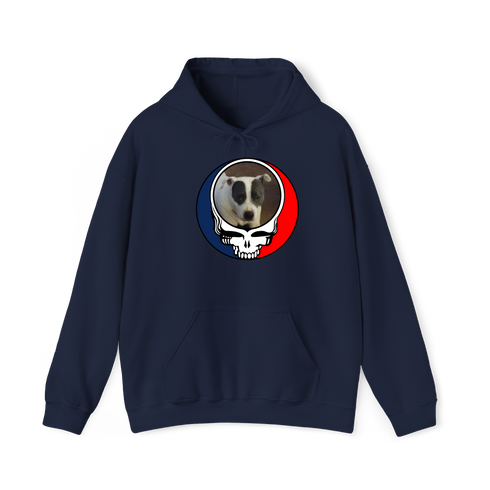 1688 - Custom Stealie Hoodie