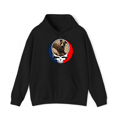 1363 - Custom Stealie Hoodie