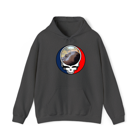 1634 - Custom Stealie Hoodie