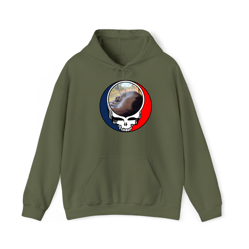 1634 - Custom Stealie Hoodie