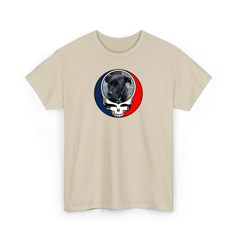 1532 - Custom Stealie T-Shirt