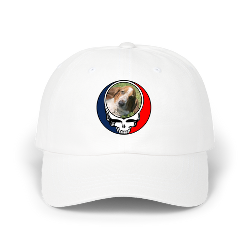 1682 - Custom Stealie Dad Hat