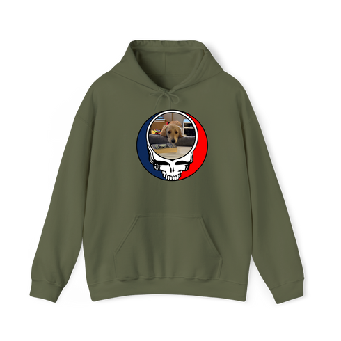 1553 - Custom Stealie Hoodie