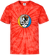 UCLA Stealie Tie-Dye T-Shirt