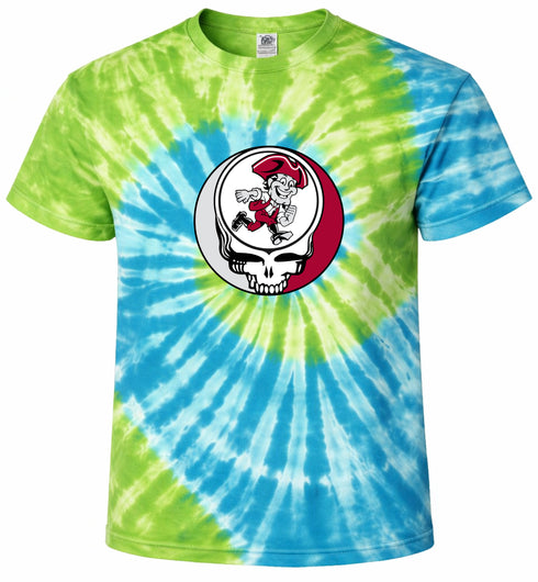 UMASS Amherst Stealie Tie-Dye T-Shirt