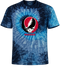 University of Wisconsin Stealie Tie-Dye T-Shirt