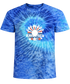 USA Stealie Tie-Dye T-Shirt