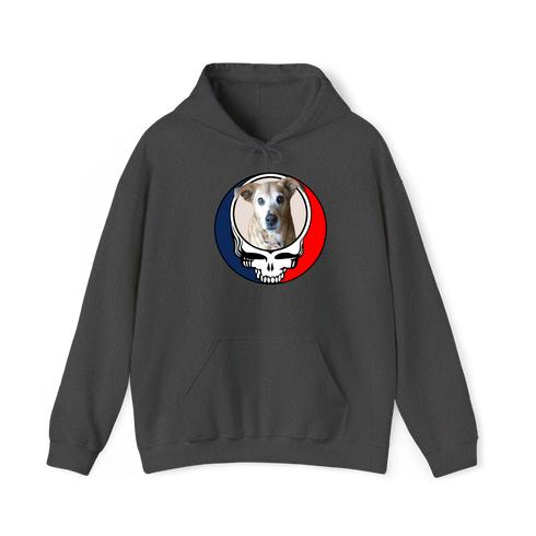 1474 - Custom Stealie Hoodie