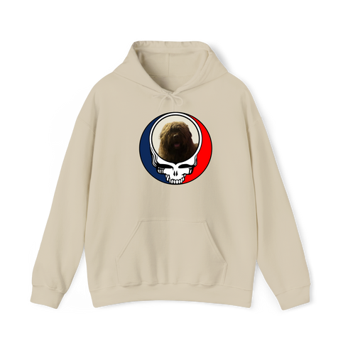 1461 - Custom Stealie Hoodie