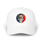 1650 - Custom Stealie Dad Hat