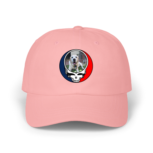 1443 - Custom Stealie Dad Hat