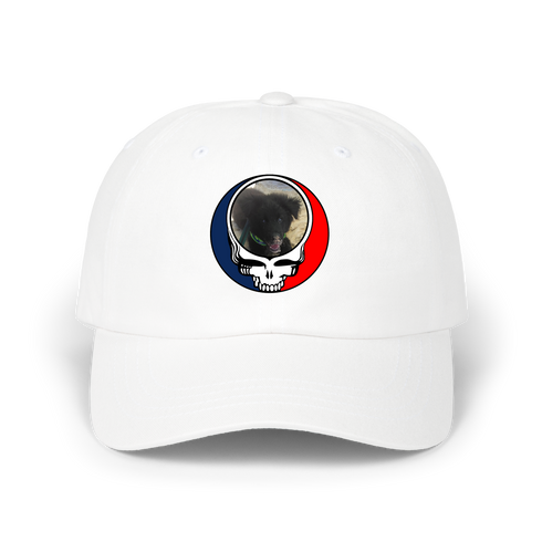 1713 - Custom Stealie Dad Hat