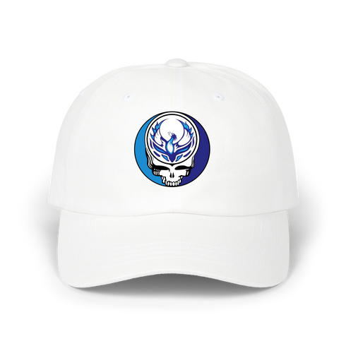 1587 - Custom Stealie Dad Hat