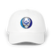 1587 - Custom Stealie Dad Hat