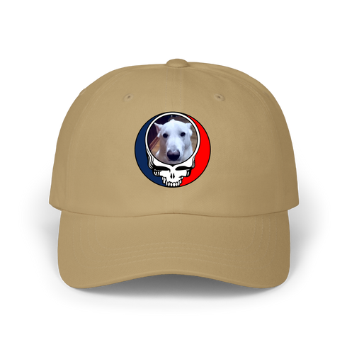 1569 - Custom Stealie Dad Hat