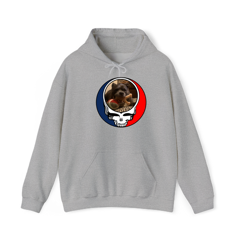 1544 - Custom Stealie Hoodie