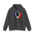 1532 - Custom Stealie Hoodie