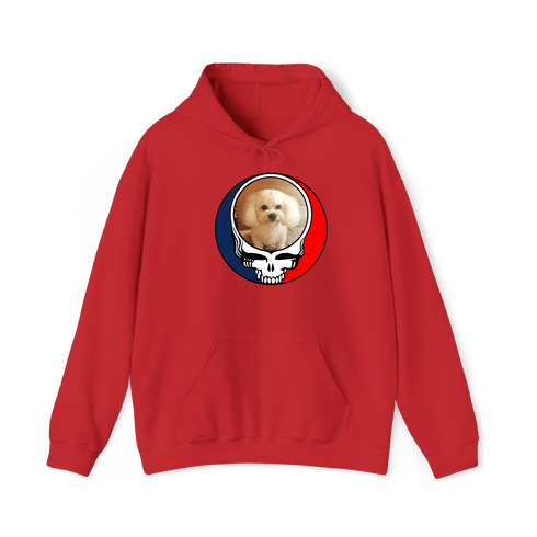 1641 - Custom Stealie Hoodie