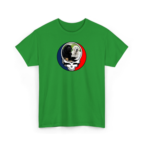 1619 - Custom Stealie T-Shirt
