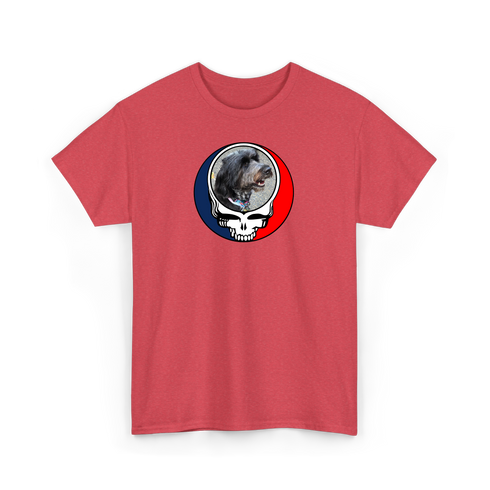 1721 - Custom Stealie T-Shirt