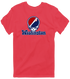 Washington Baseball Stealie Grateful Dead T-Shirt — Washington Nationals — Heather Red