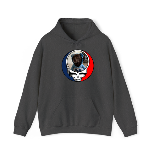 1646 - Custom Stealie Hoodie